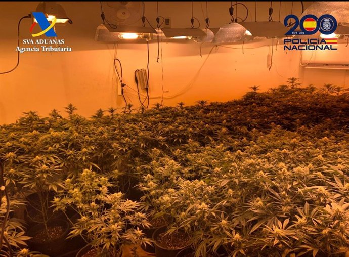 Una de las viviendas del centro de producción de marihuana.