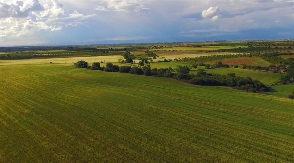 Campos de cultivo.