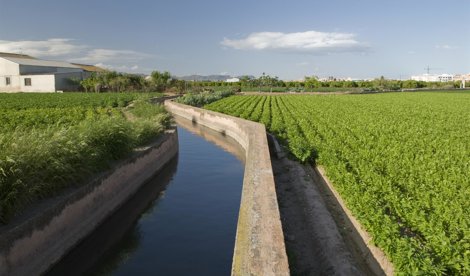 Valencià