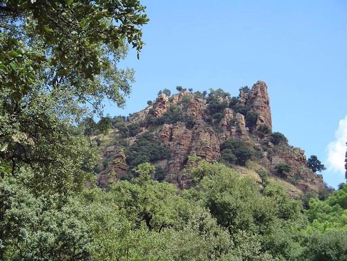 El butlletí mensual de Prevenció d'Incendis Forestals de la Conselleria de Medi ambient, Infraestructures i Territori ha oferit en el seu primer any de publicació dades de 4.620 mostres preses, la qual cosa suposa 151 quilos de material vegetal recollit.