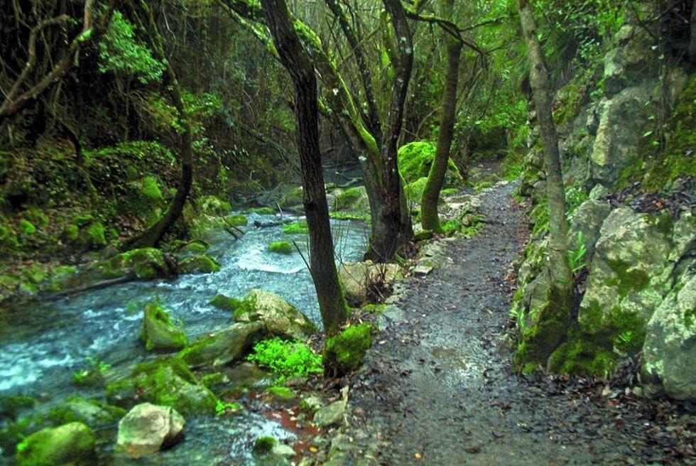 Sendero del río Majaceite.