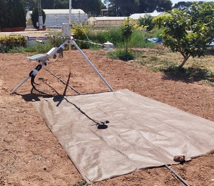 IVIA evalúa el efecto de diferentes coberturas en los suelos agrarios para lograr una producción más sostenible y maximizar la eficiencia en el uso del agua.