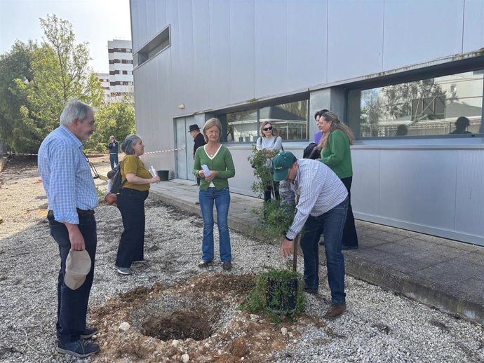 Imagen de la plantación