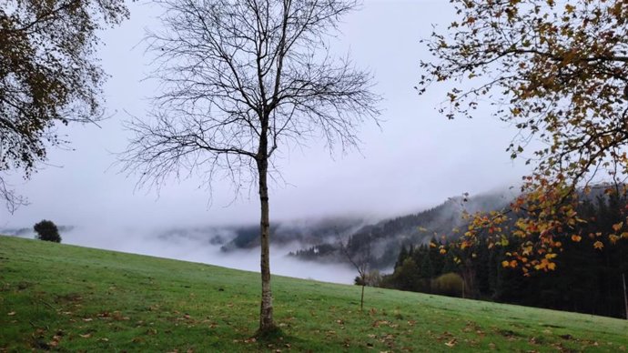 Archivo - Jornada lluviosa en Karrantza (Bizkaia)