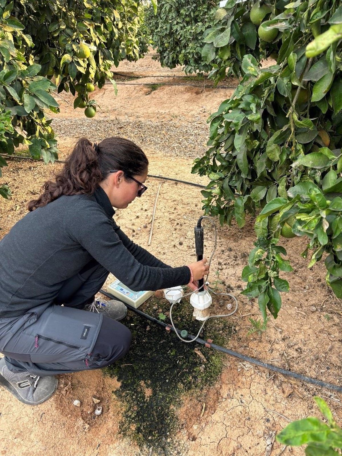 Un proyecto del IMIDA permite mejorar la eficiencia hídrica del suelo y reducir la evaporación