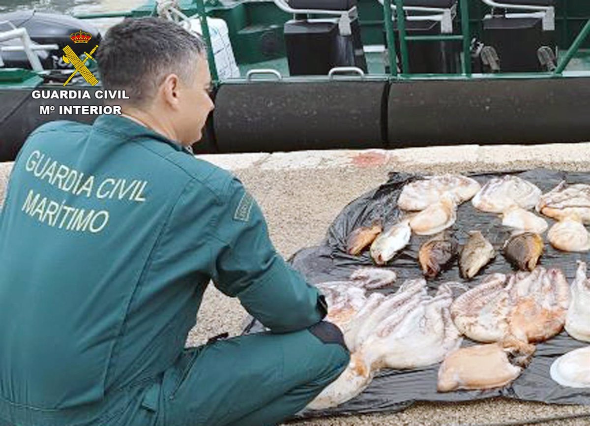 La Guardia Civil sorprende a un pescador con 30 kilos de pulpo en Cartagena