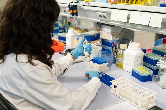 Investigadora de la UPV