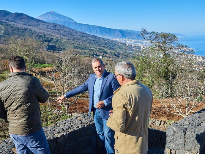 Tenerife impulsa un proyecto de cultivo sostenible de la pitaya para ayudar a diversificar las producciones agrícolas
