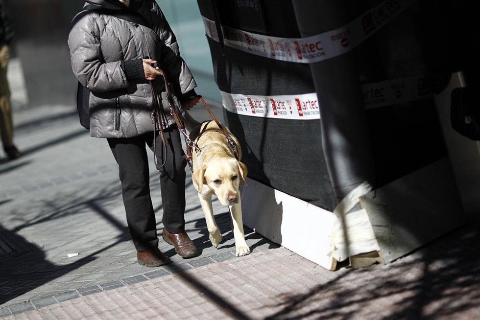 Archivo - Discapacidad, discapacitado, ciego, personas ciegas con perro guía, lazarillo