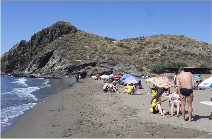 Encuestas realizadas en las playas de los espacios naturales protegidos de la costa occidental, sobre todo en las playas de Calnegre, a los usuarios.