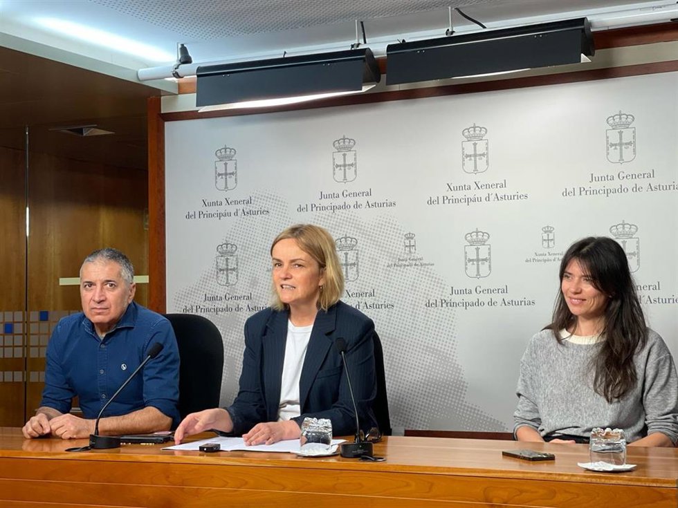 La diputada regional del Grupo Mixto Covadonga Tomé durante la rueda de prensa en la que ha anunciado su apoyo a la creación de una comisión de investigación por lo ocurrido en la mina de Cerredo.