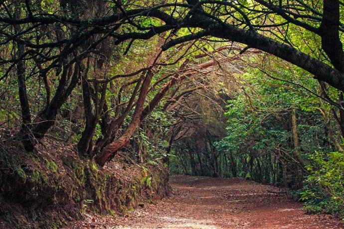 Parque Rural de Anaga