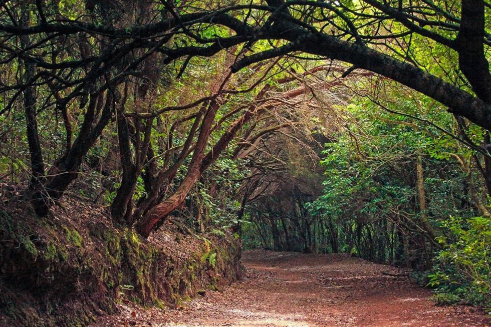 Parque Rural de Anaga