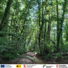 Riera de la Pineda, en Girona