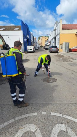 Operarios en la desinsectación en la red de saneamiento en Cádiz.