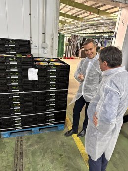 Empleo respalda a la economía social con cuatro líneas de ayudas que movilizan 3,9 millones de euros en Almería.