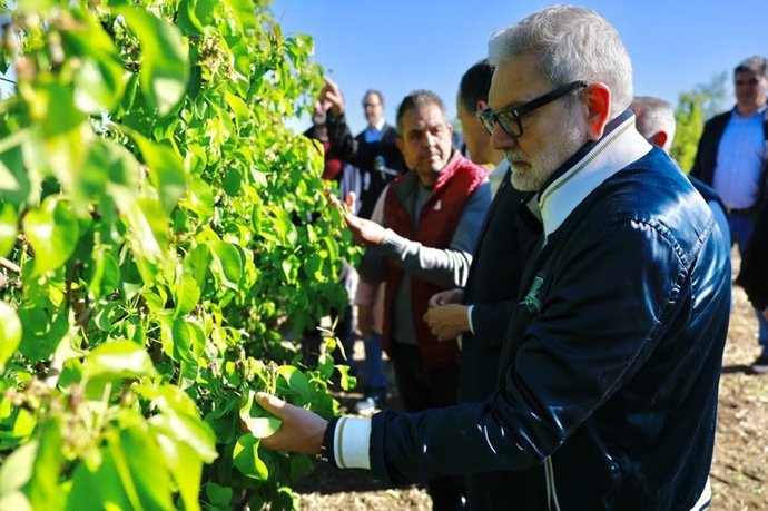 El conseller de Agricultura, Ganadería, Pesca y Alimentación, Òscar Ordeig, y el alcalde de Lleida, Fèlix Larrosa, han visitado la Partida de Granyana (Lleida) para valorar el impacto que ha tenido el pedrisco de este sábado