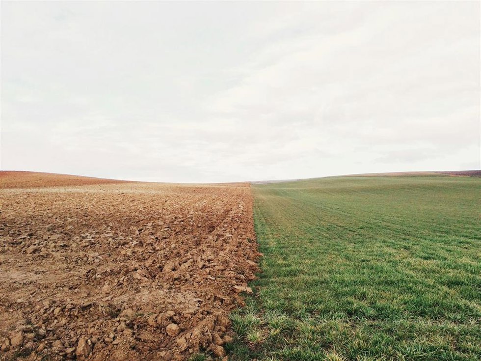 Recurso de campo