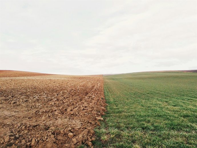 Recurso de campo