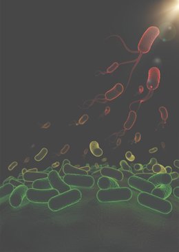 Imagen de bacterias.