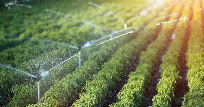 Archivo - Riesgo por aspersión, en imagen de archivo