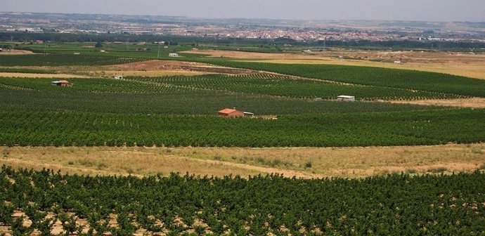 Archivo - Una explotación agrícola.