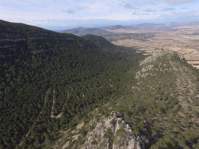 Sierra de El Carche.