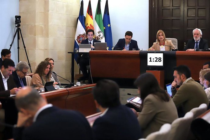 La alcaldesa de Jerez, María José García-Pelayo, en el Pleno del mes de abril.
