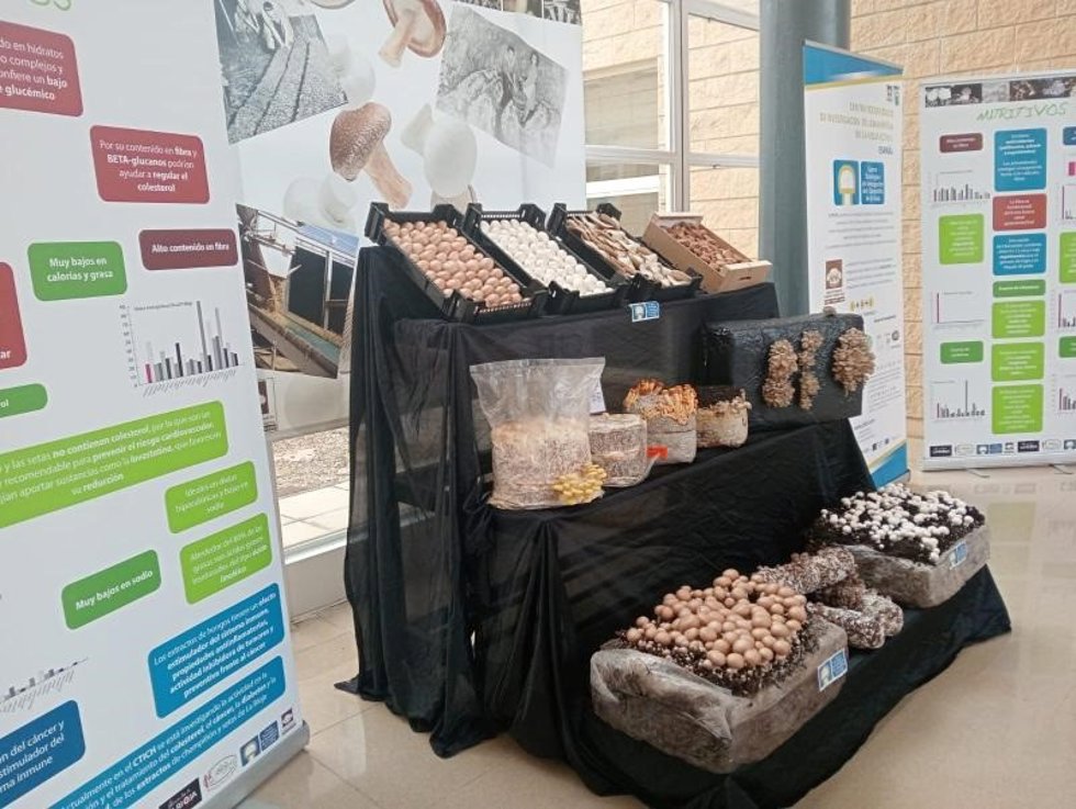 El Hospital de Calahorra promueve una alimentación saludable para prevenir enfermedades y mejorar la calidad de vida