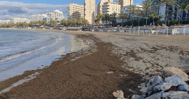 Málaga