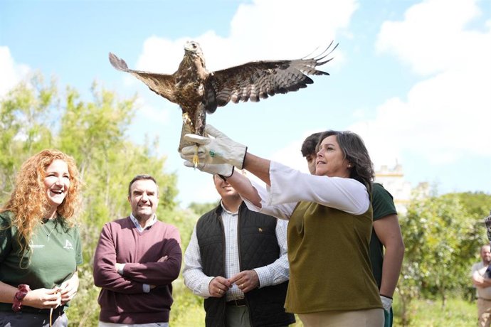 Vídeo de la noticia