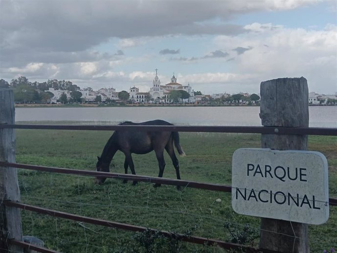 El Rocío durante la Semana Santa 2025 en Huelva.