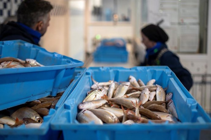 Archivo - Una caja de pescado en una imagen de archivo