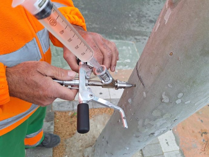 Nuevo sistema de tratamiento en árboles en Ontinyent