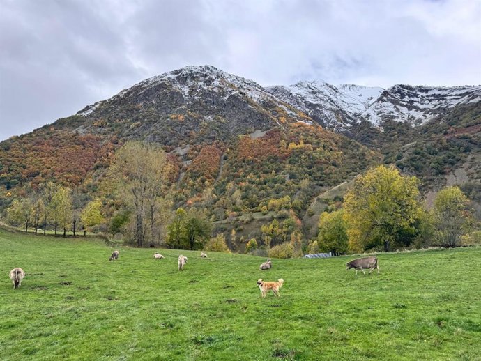 La Val d'Aran (Lleida)