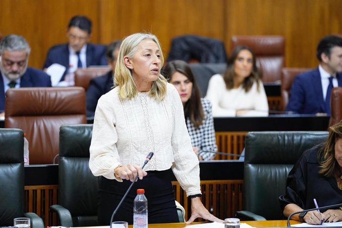 Archivo - La consejera de Salud y Consumo, Rocío Hernández, en el Pleno del Parlamento. (Foto de archivo).