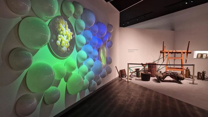 Cariñena Wine Museum.