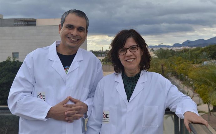 El Generla de elche, Fisabio y la UMH investigan sobre la prevención de la diabetes tipo 1