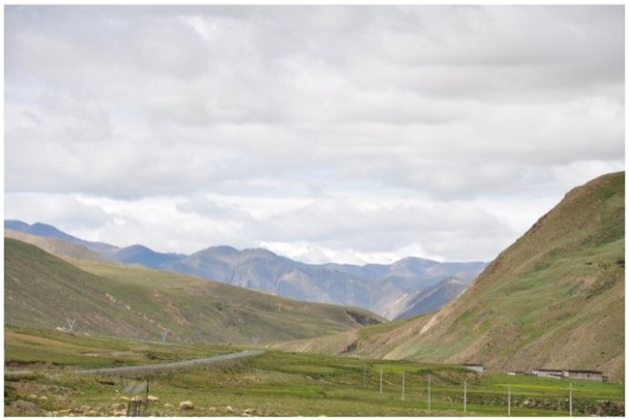 Las variaciones en las temperaturas rompen el equilibrio de los ecosistemas de montaña, según CSIC.