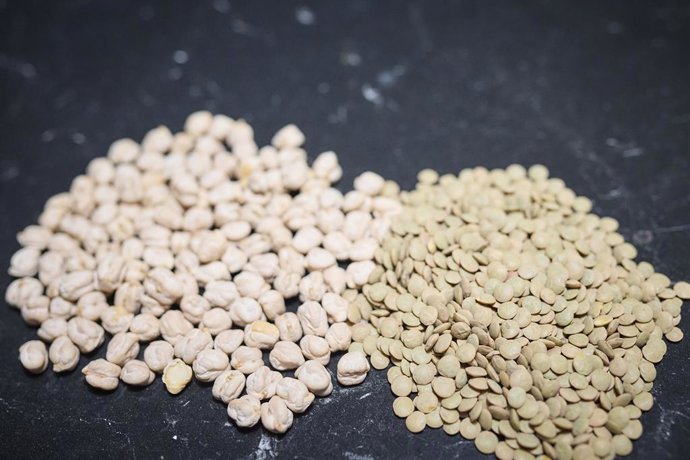 Archivo - Txitxirioak eta dilistak