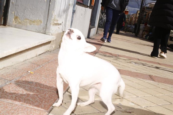 Archivo - Una de las imágenes promocionales de Documenta Madrid 2025