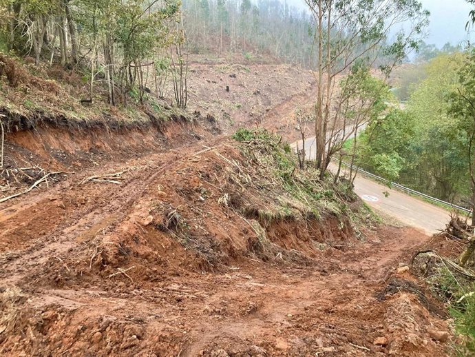 Archivo - Oviedo.- El PSOE pide explicaciones al gobierno local del PP por los daños causados por las talas en el monte Naranco 