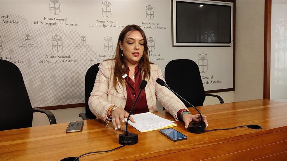 La portavoz de Vox en la Junta General, Carolina López.
