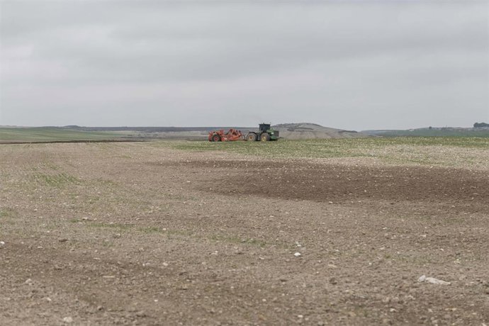 Archivo - Las ayudas abonadas se destinan a la instalación de jóvenes y a la modernización de explotaciones.