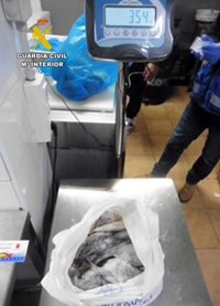 La Guardia Civil encuentra en un restaurante de La Unión (Murcia) 32 kilos de pescado sin trazabilidad