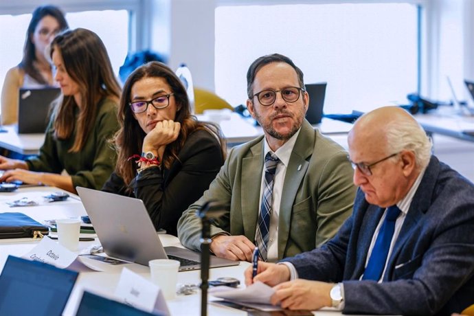 Archivo - El viceconsejero del Gabinete de la Presidencia, Octavio Caraballo, ha participado este lunes en la mesa de trabajo de la 'Migration Task Force' de la Conferencia de Regiones Periféricas y Marítimas (CRPM)