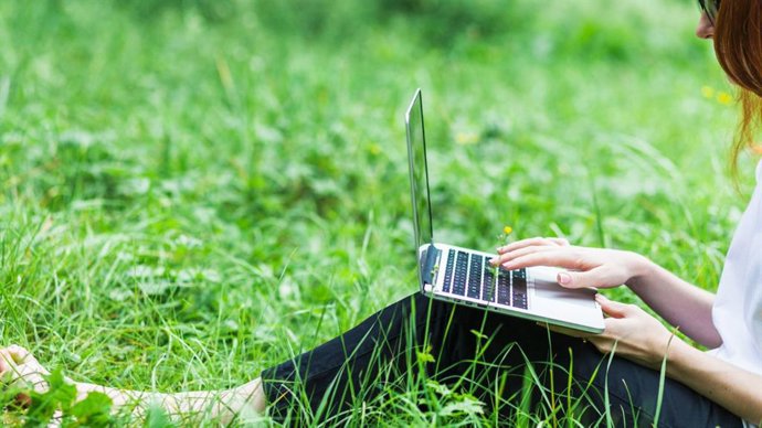 Consulta en Internet