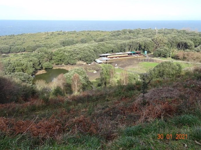 Archivo - Explotación ganadera anexa a la Cueva del Pindal.