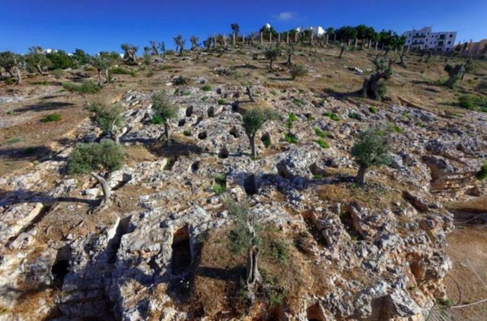 Necrópole púnica de Puig des Molins, na ilha de Ibiza. O novo estudo de DNA antigo sequenciou restos humanos desse e de outros importantes sítios arqueológicos fenício-púnicos.