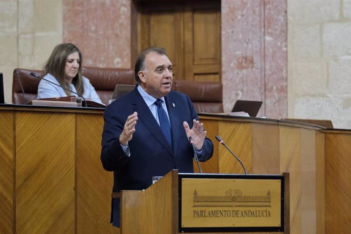 El consejero de Turismo y Andalucía Exterior, Arturo Bernal, comparece en el Pleno del Parlamento andaluz.